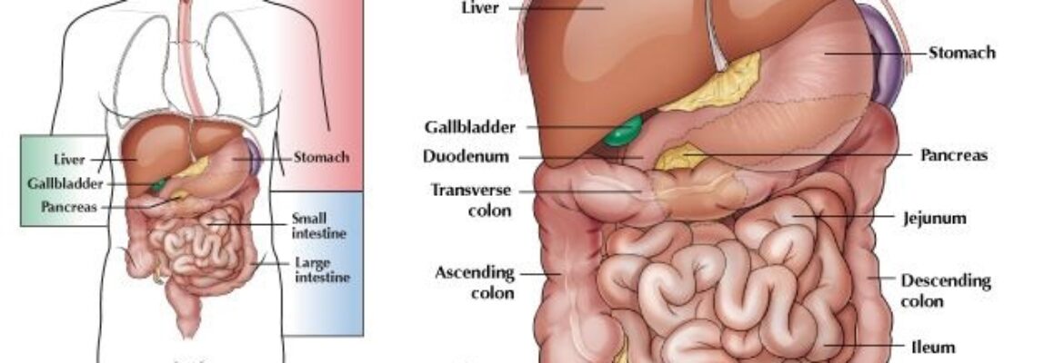 Colonoscopy Surgery Hospitals in Nairobi – Find Cost Estimate, Reviews and Book Appointment