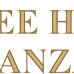 Saifee Hospital Tanzania