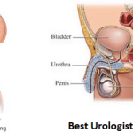 Best Urologists in Lagos