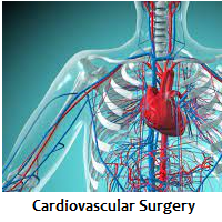 Cardiovascular Surgery