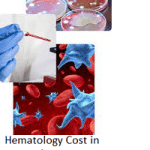 Hematology Cost in Mozambique