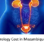 Urology Cost in Mozambique