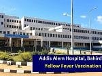 Get Expert Help for Yellow Fever Vaccination at Addis Alem Hospital, Bahirdar