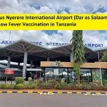 Julius Nyerere International Airport (Dar es Salaam) – Yellow Fever Vaccination in Tanzania