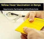 Yellow Fever Vaccination in Kenya – Requirements, Top Hospitals, and Certificate Guide