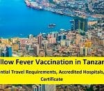 Yellow Fever Vaccination in Tanzania: Essential Travel Requirements, Accredited Hospitals, and Certificate