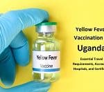 Yellow Fever Vaccination in Uganda: Essential Travel Requirements, Accredited Hospitals, and Certificate